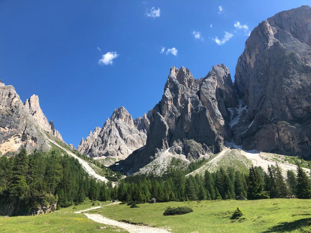 B&B Marina Contacless Check In Santa Cristina Val Gardena Esterno foto